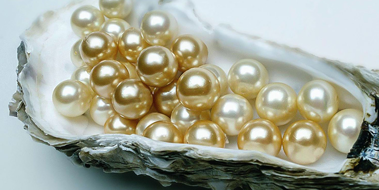 Mother of Pearls